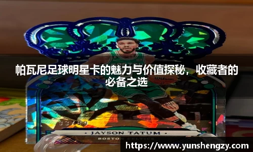 帕瓦尼足球明星卡的魅力与价值探秘，收藏者的必备之选
