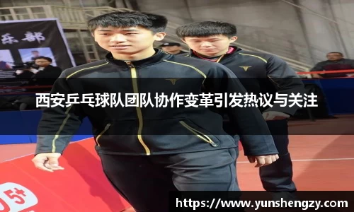 西安乒乓球队团队协作变革引发热议与关注